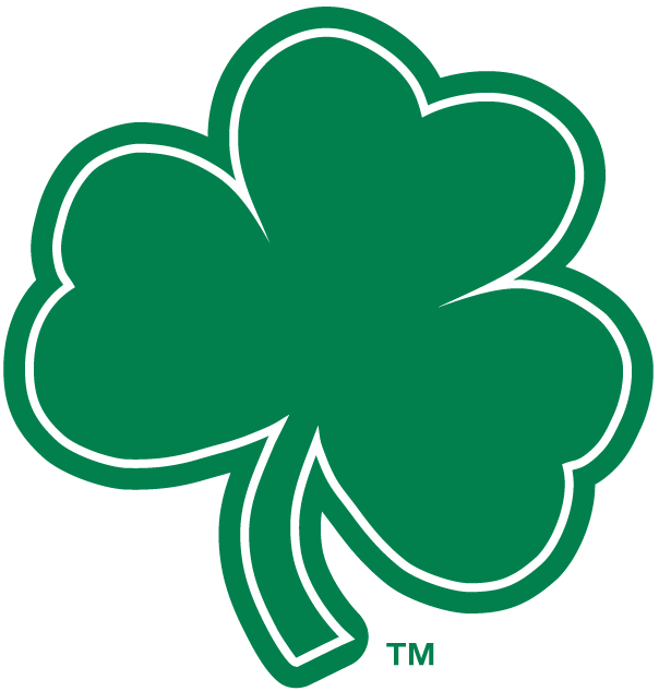 Notre Dame Fighting Irish 1994-Pres Alternate Logo v7 DIY iron on transfer (heat transfer)